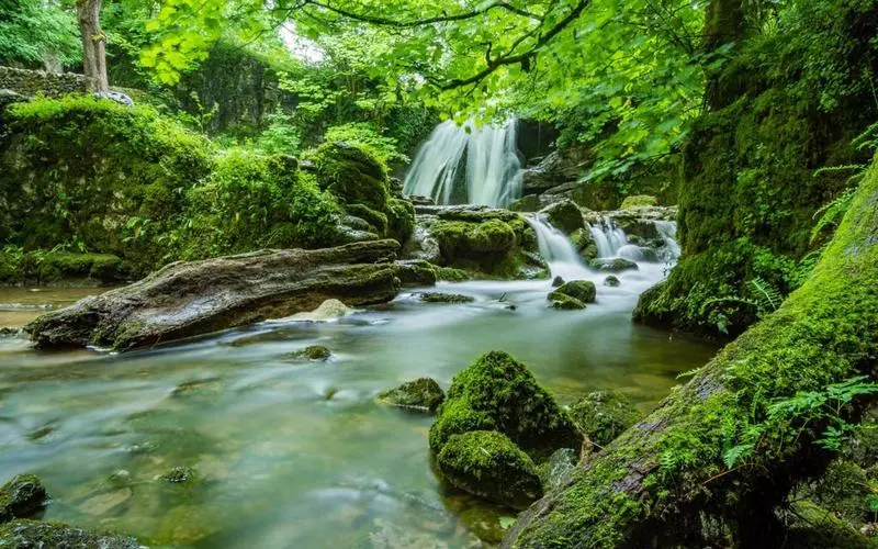 绿色高精度